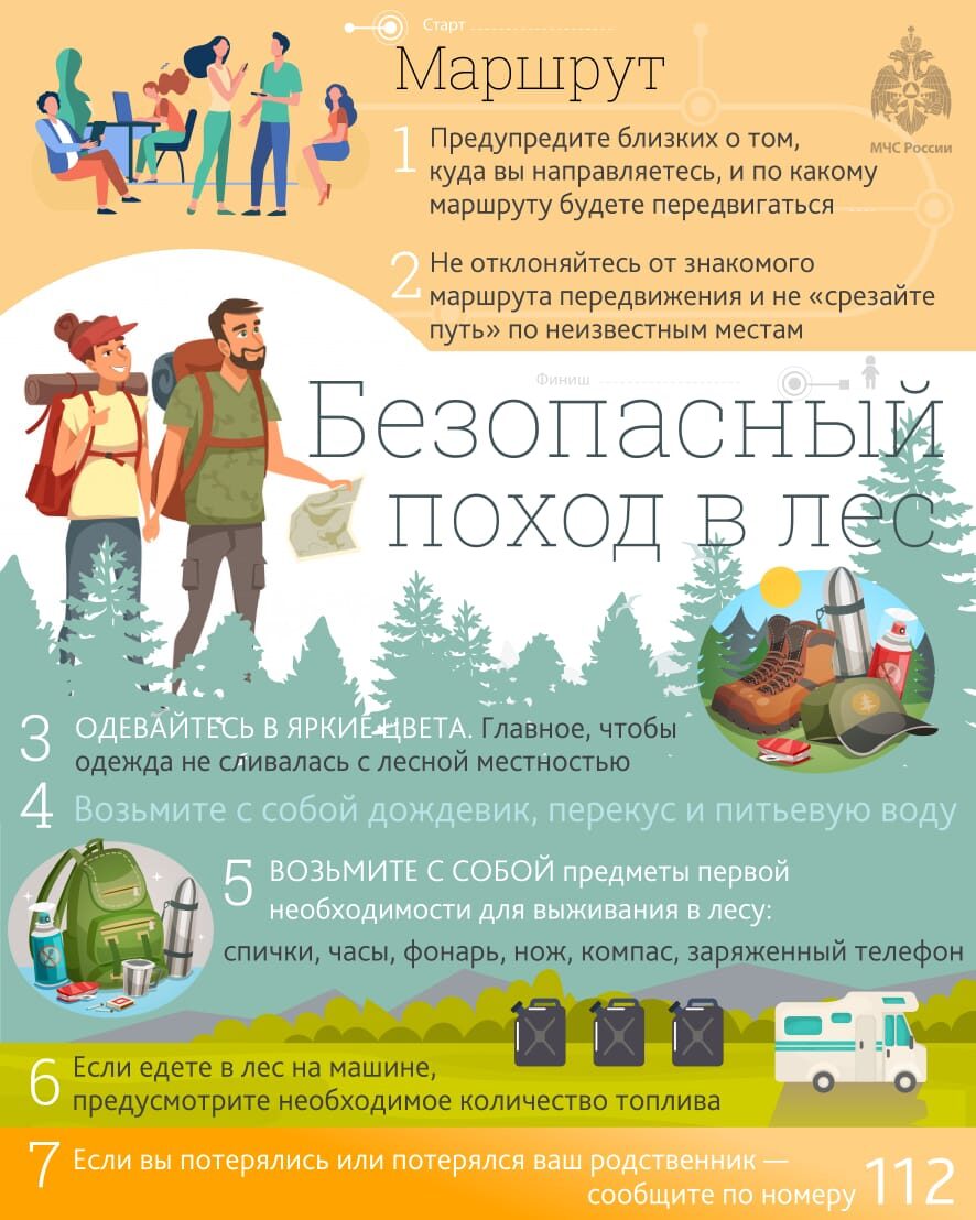 Памятка похода в лес.