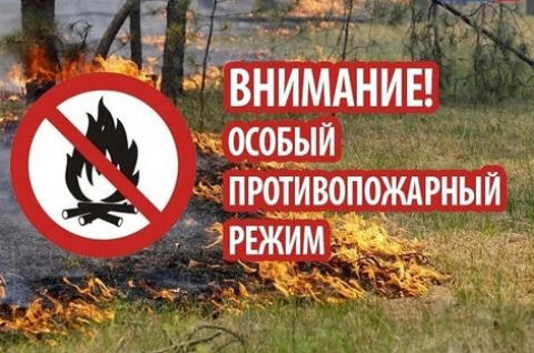 РЕЖИМ ПОВЫШЕННОЙ ГОТОВНОСТИ ВВЕЛИ В ТОМСКОЙ ОБЛАСТИ ИЗ-ЗА ЖАРЫ.